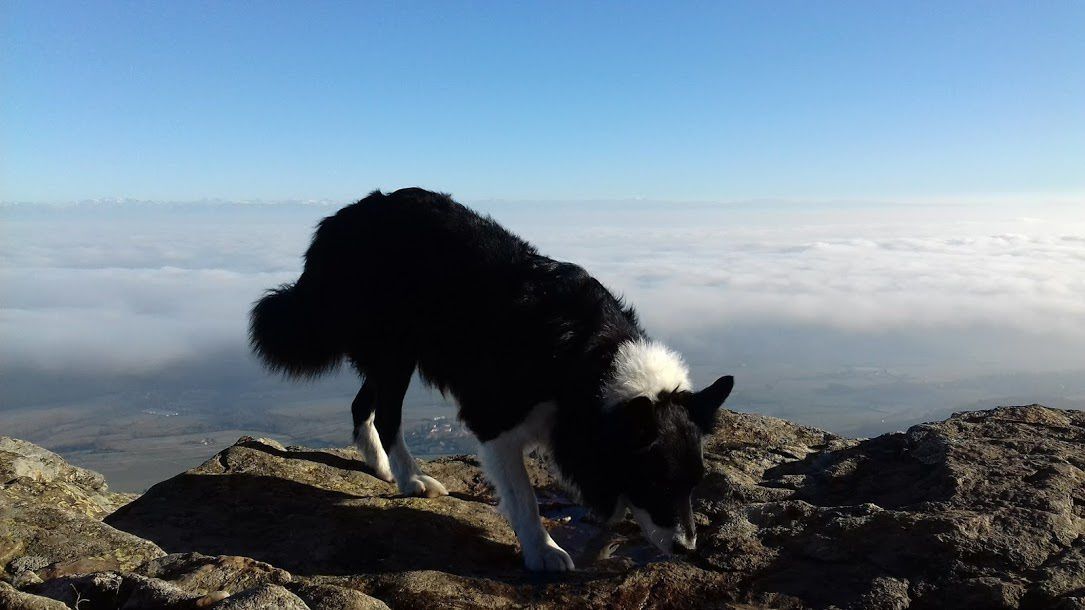 Journée à la pension